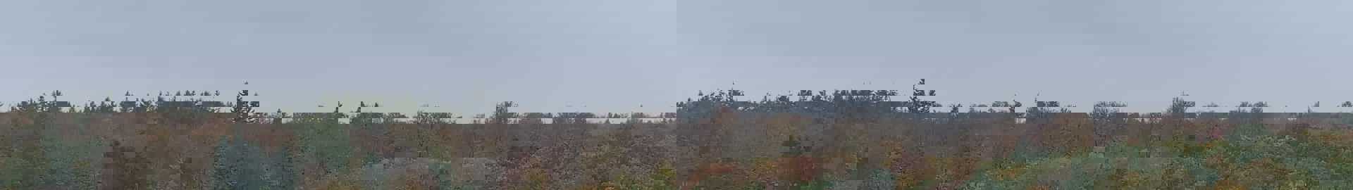 Rudersdal Luftfoto 3